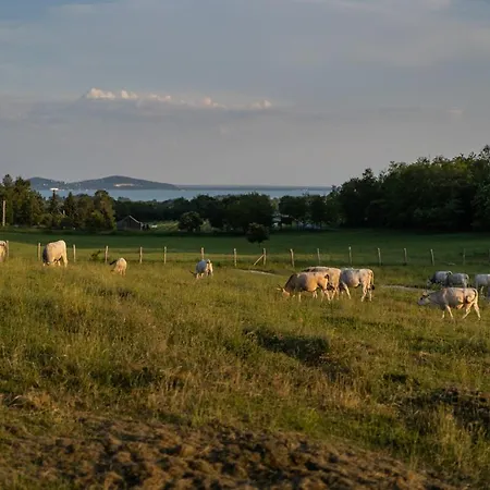 アパート Istvandy Birtok Káptalantóti