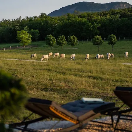 Istvandy Birtok * Kaptalantoti