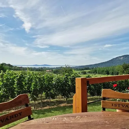 Istvandy Birtok Апартаменты