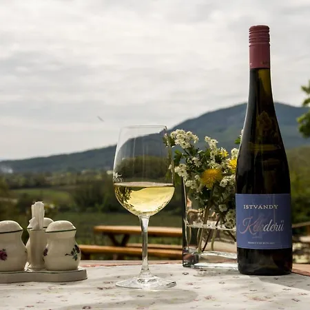 Istvandy Birtok Διαμέρισμα Kaptalantoti