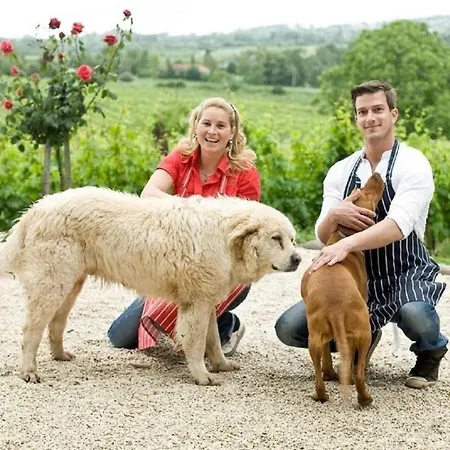 Апартаменты Istvandy Birtok *