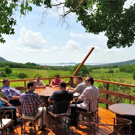 アパート Istvandy Birtok Káptalantóti