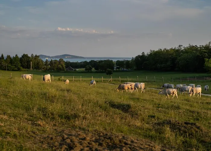Appartement Istvandy Birtok Kaptalantoti