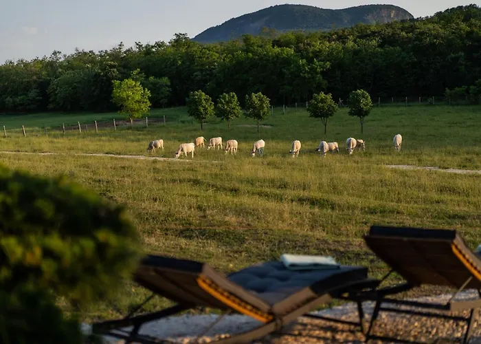 Istvandy Birtok * Kaptalantoti
