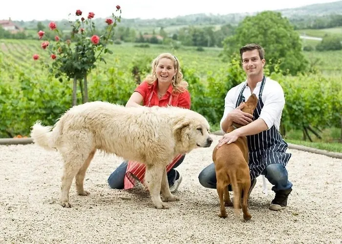 Appartement Istvandy Birtok *